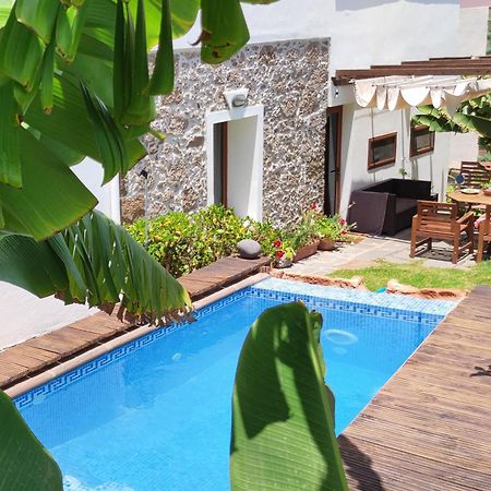 Villa Canaria Piscina Jacuzzi Jardin Santa Maria de Guia de Gran Canaria Ngoại thất bức ảnh
