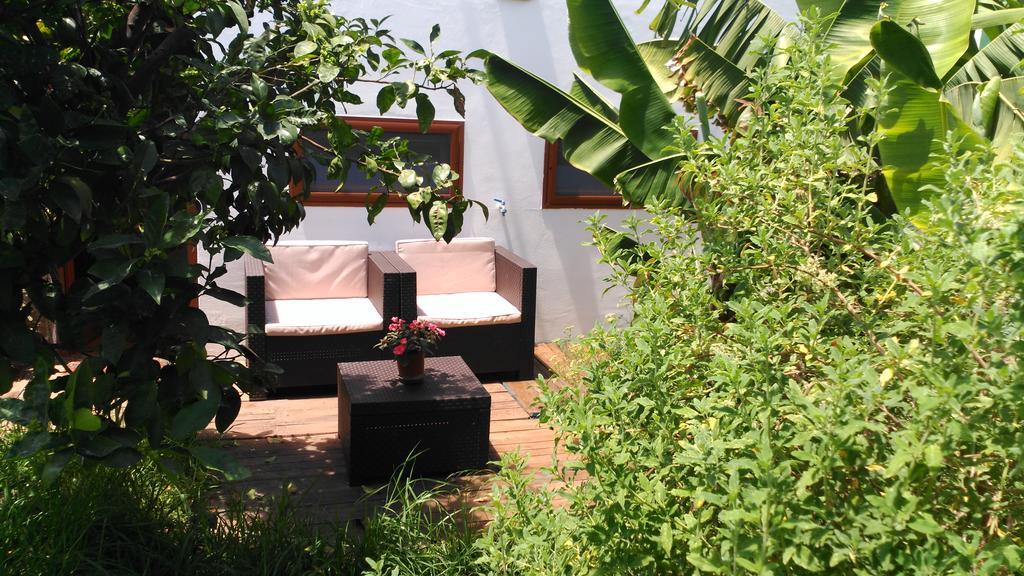 Villa Canaria Piscina Jacuzzi Jardin Santa Maria de Guia de Gran Canaria Ngoại thất bức ảnh