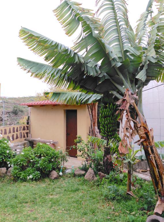 Villa Canaria Piscina Jacuzzi Jardin Santa Maria de Guia de Gran Canaria Ngoại thất bức ảnh
