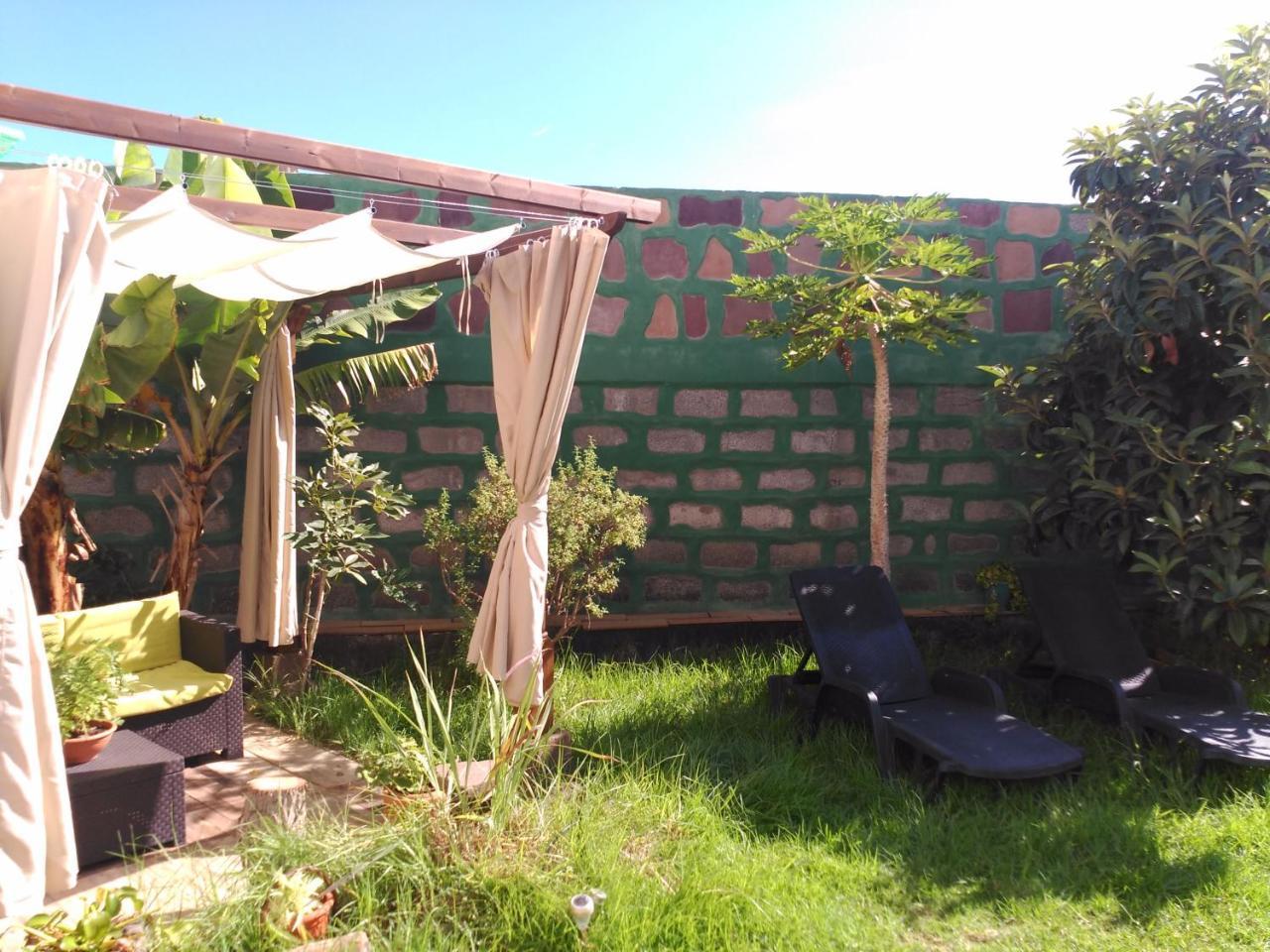 Villa Canaria Piscina Jacuzzi Jardin Santa Maria de Guia de Gran Canaria Ngoại thất bức ảnh