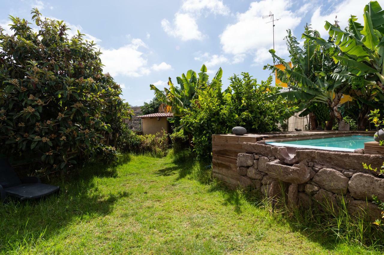 Villa Canaria Piscina Jacuzzi Jardin Santa Maria de Guia de Gran Canaria Ngoại thất bức ảnh