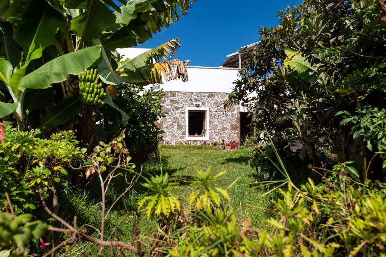 Villa Canaria Piscina Jacuzzi Jardin Santa Maria de Guia de Gran Canaria Ngoại thất bức ảnh
